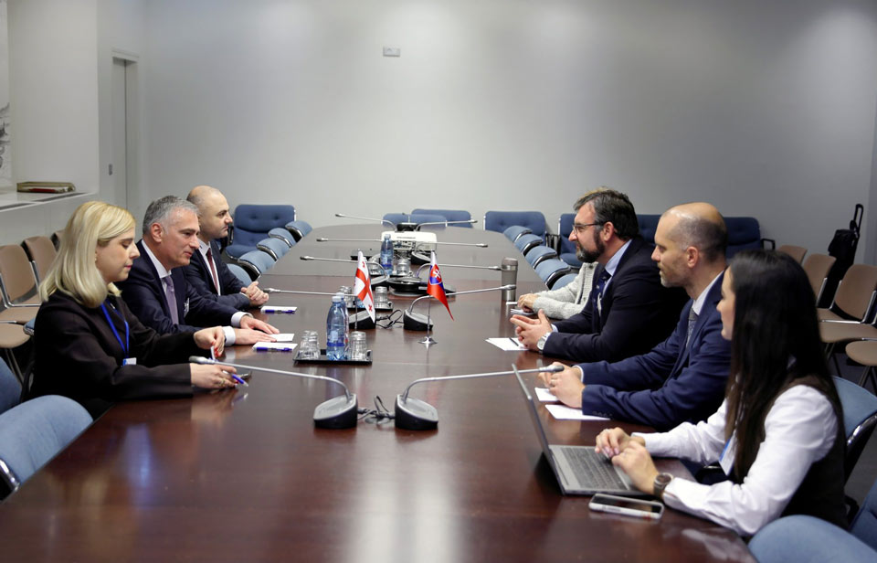 პაატა სალია იუსტიციის საკითხებში სლოვაკეთის სახელმწიფო მდივანს შეხვდა