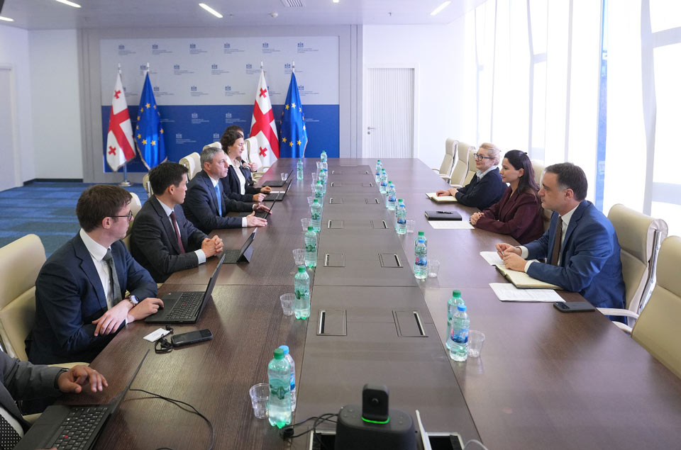მარიამ ქვრივიშვილმა საერთაშორისო სავალუტო ფონდის მისიასთან შემდგომი თანამშრომლობის პრიორიტეტები განიხილა
