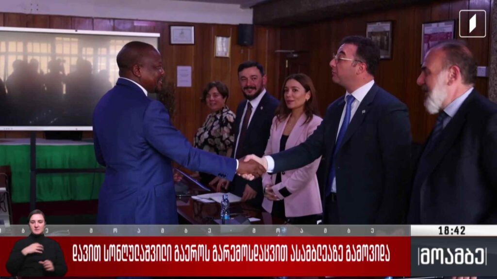 დავით სონღულაშვილი გაერო-ს გარემოსდაცვით ასამბლეაზე გამოვიდა