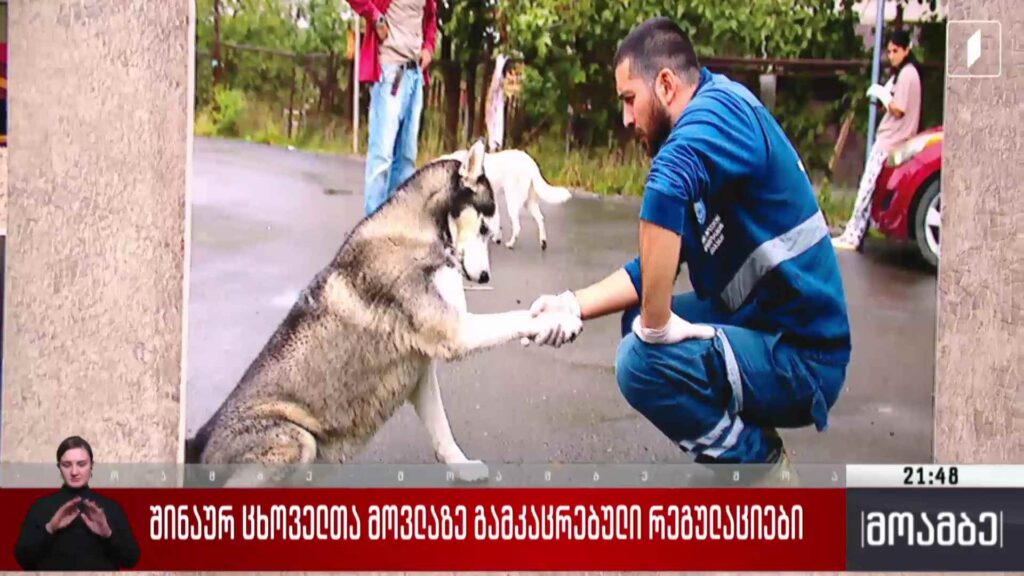 შინაურ ცხოველთა მოვლაზე გამკაცრებული რეგულაციები