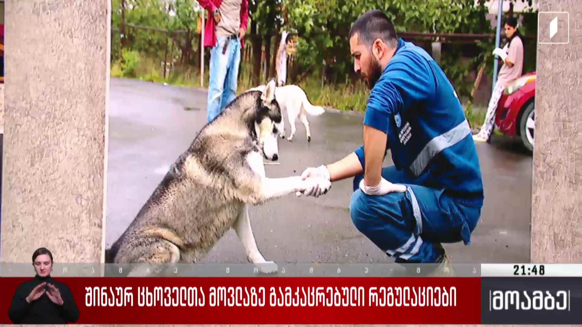 შინაურ ცხოველთა მოვლაზე გამკაცრებული რეგულაციები