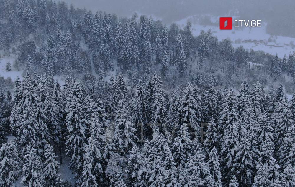 სინოპტიკოსების პროგნოზით, 17 იანვრიდან საქართველოში მოსალოდნელია ნალექიანი ამინდი, უმეტესად თოვლის სახით