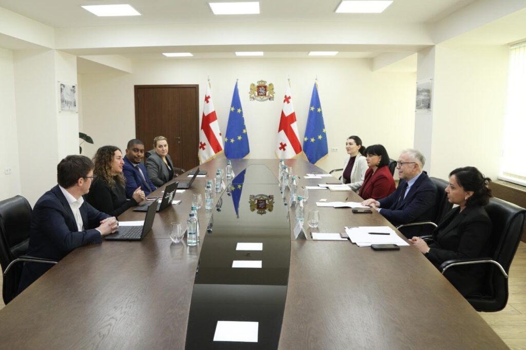ირაკლი სასანია და ირინა წაქაძე საერთაშორისო სავალუტო ფონდის მისიის წარმომადგენლებს შეხვდნენ