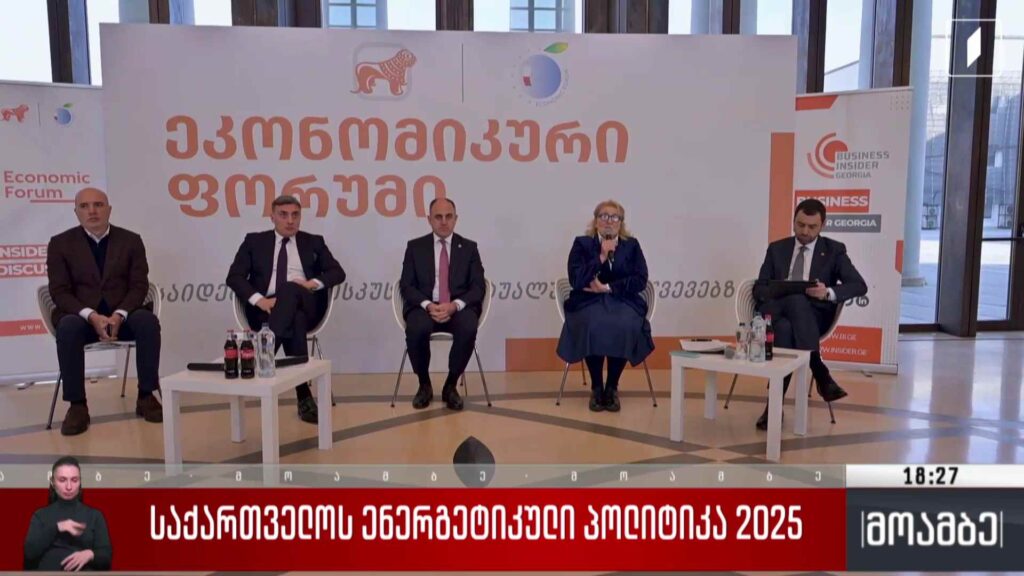საქართველოს ენერგეტიკული პოლიტიკა 2025 