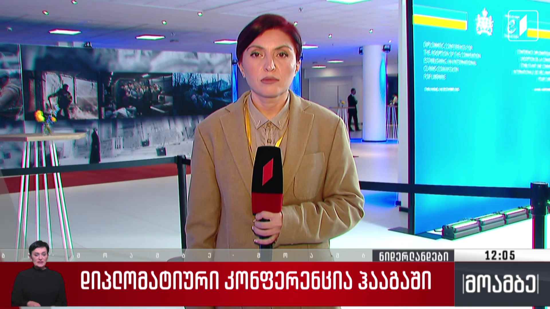 დიპლომატიური კონფერენცია ჰააგაში