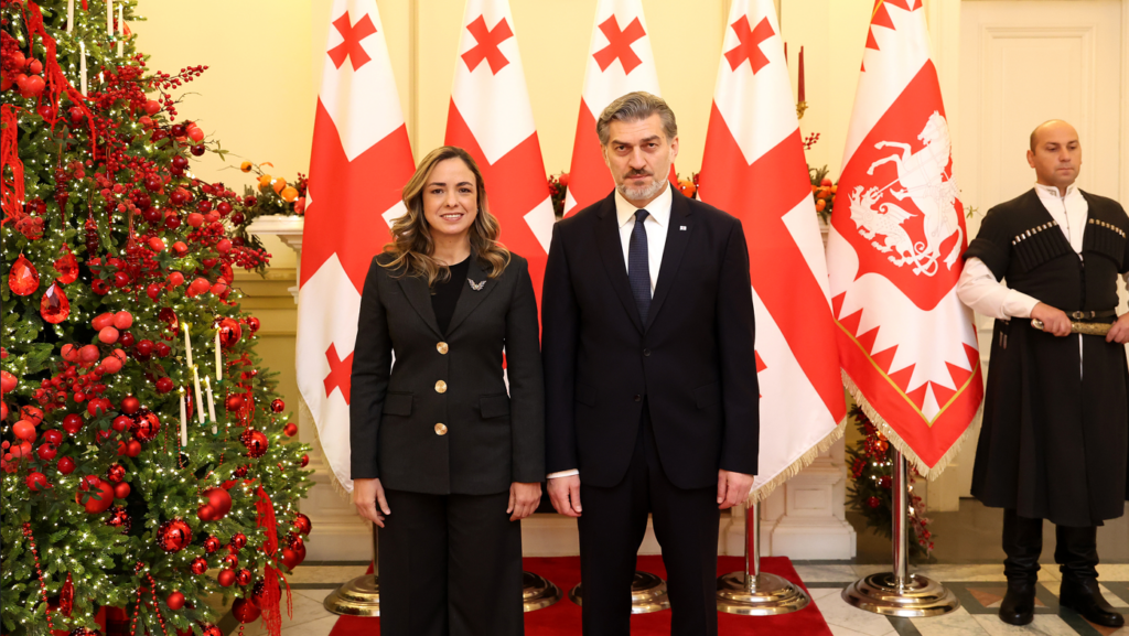 საქართველოს პრეზიდენტს ექვსი ქვეყნის რეზიდენტმა და არარეზიდენტმა ელჩებმა რწმუნებათა სიგელები გადასცეს