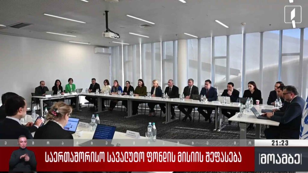 საერთაშორისო სავალუტო ფონდის მისიის შეფასება