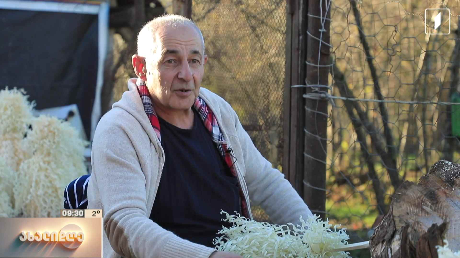 ახალი წლის ქართული სიმბოლოს - ჩიჩილაკის ოსტატი გიორგი დათაშვილი გურიიდან