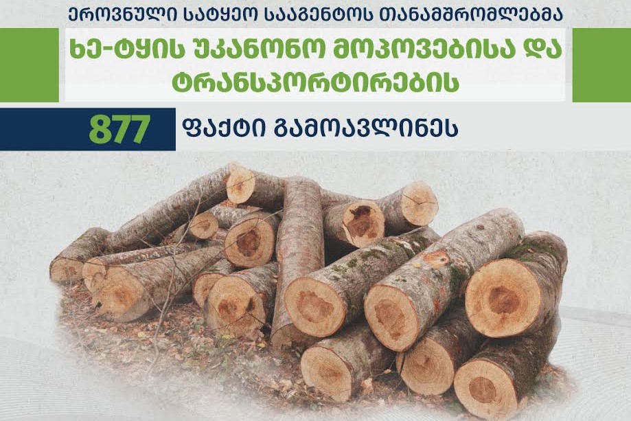 ეროვნული სატყეო სააგენტოს თანამშრომლებმა მიმდინარე წელს სამართალდარღვევის 877 ფაქტი გამოავლინეს