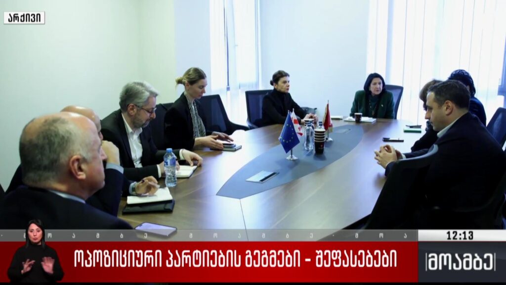ოპოზიციური პარტიების გეგმები – შეფასებები
