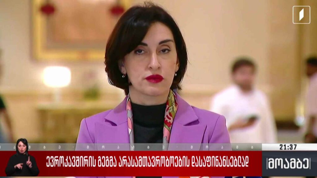 ევროკავშირის გეგმა არასამთავრობოების დასაფინანსებლად 