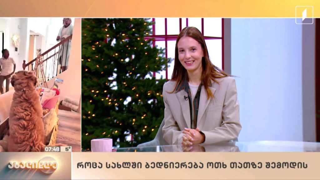 სახალისო ვიდეოების კოლაჟი