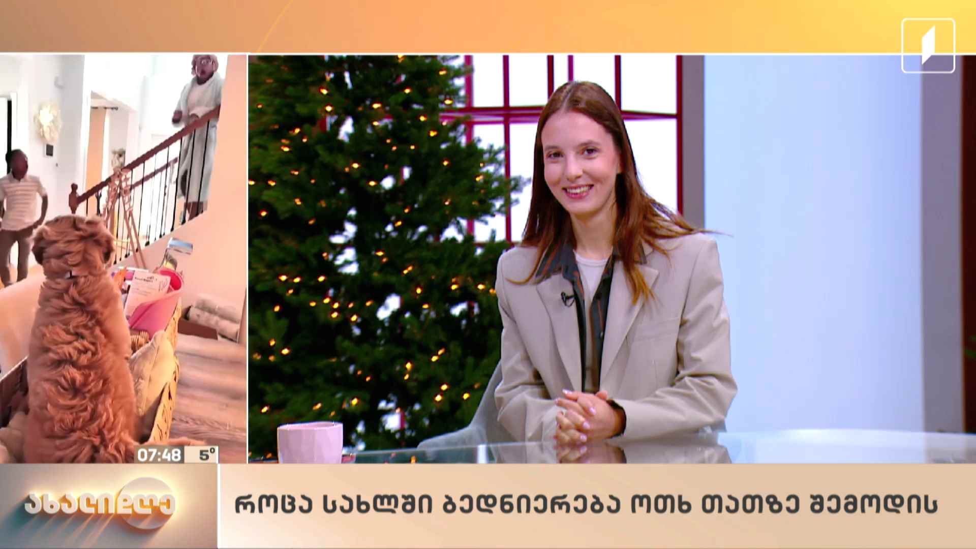სახალისო ვიდეოების კოლაჟი