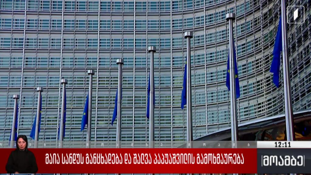 მაია სანდუს განცხადება და შალვა პაპუაშვილის გამოხმაურება