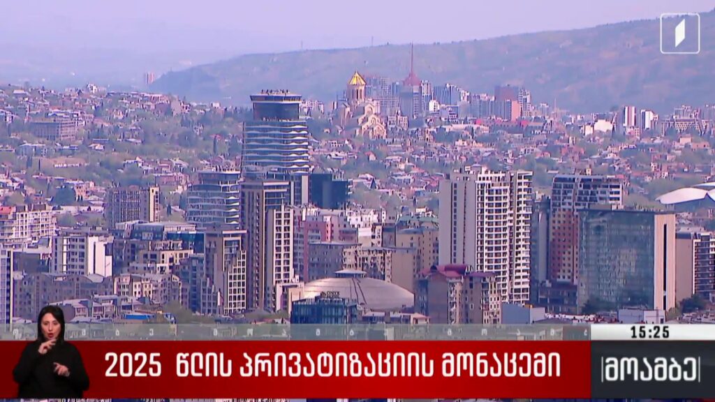 2025 წლის პრივატიზაციის მონაცემი