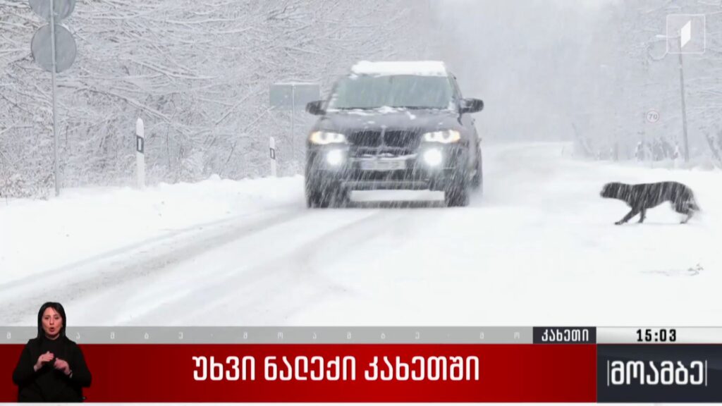 უხვი ნალექი კახეთში