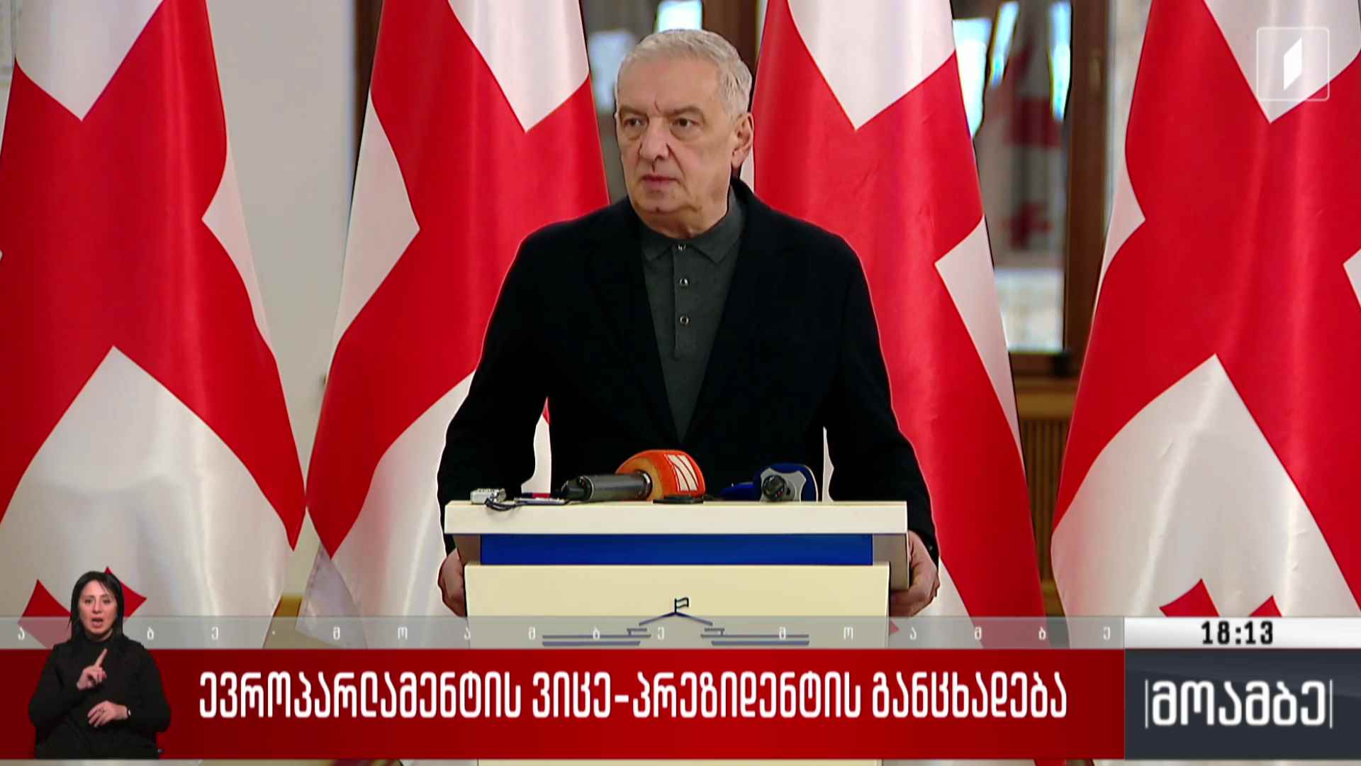 ევროპარლამენტის ვიცე-პრეზიდენტის განცხადება