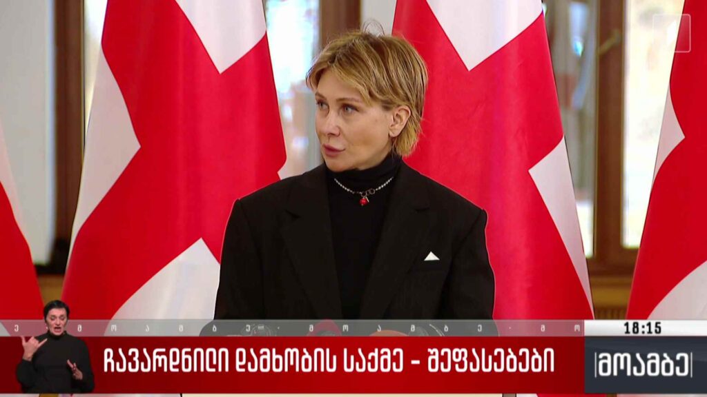 ჩავარდნილი დამხობის საქმე – შეფასებები