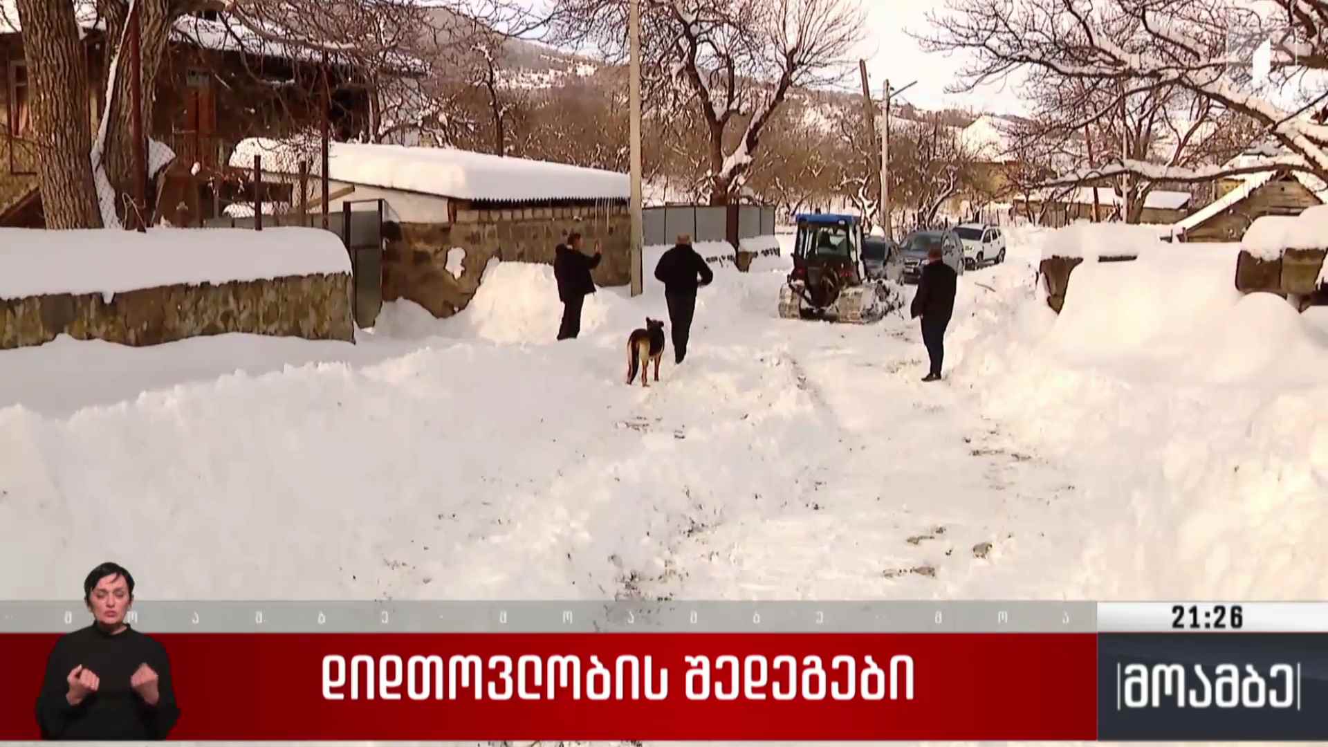 დიდთოვლობის შედეგები 
