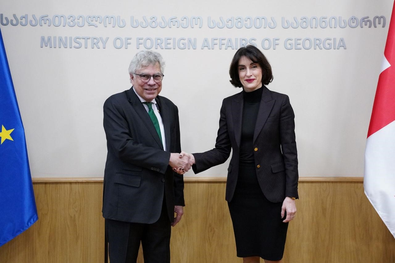 მაკა ბოჭორიშვილი ბრაზილიის ელჩს შეხვდა