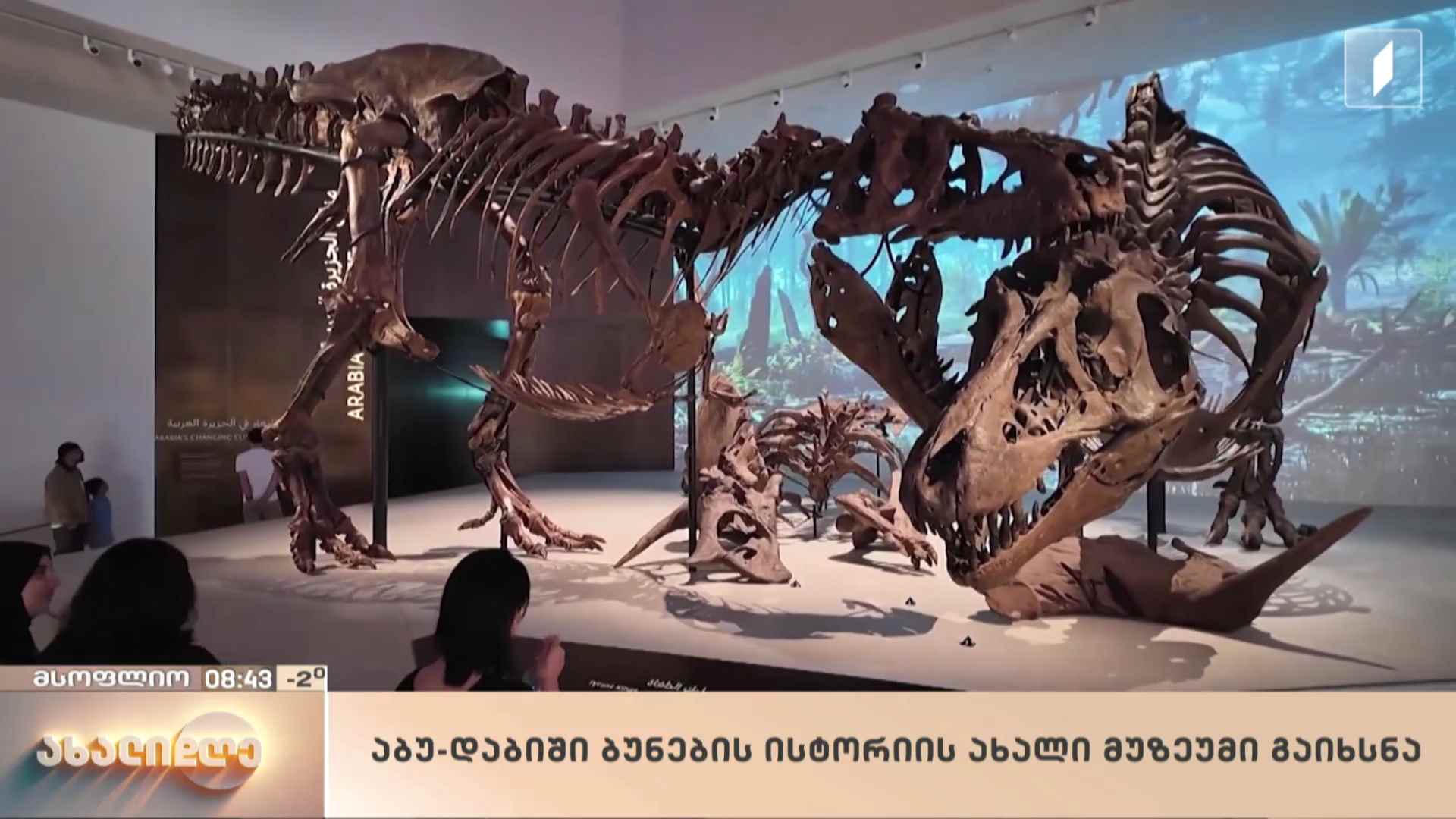 მსოფლიო ამბები