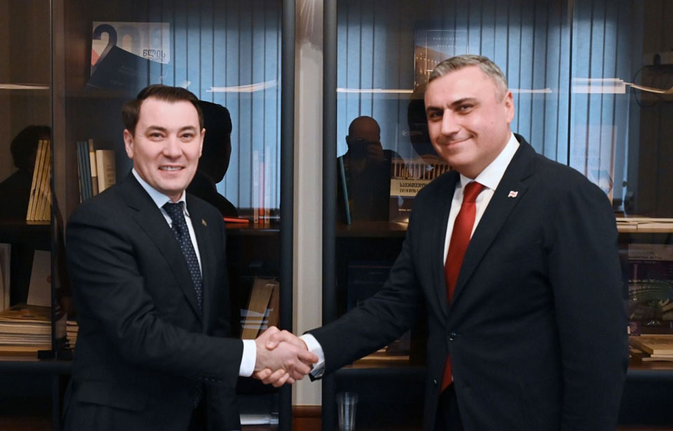 დავით მათიკაშვილი თურქმენეთის ელჩს, დოვლეტმირატ სეიტმამედოვს შეხვდა