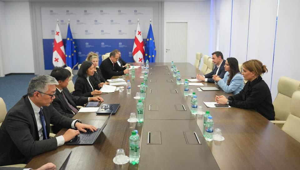 მარიამ ქვრივიშვილმა და აზიის განვითარების ბანკის (ADB) ცენტრალური და დასავლეთ აზიის დეპარტამენტის გენერალურმა დირექტორმა ინფრასტრუქტურული პროექტები განიხილეს