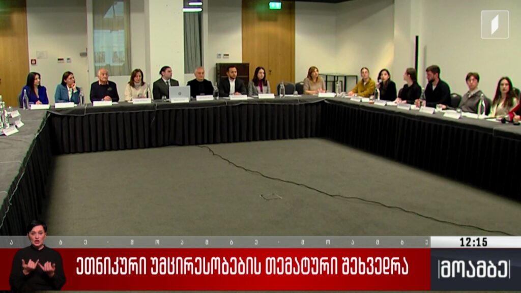 ეთნიკური უმცირესობების თემატური შეხვედრა