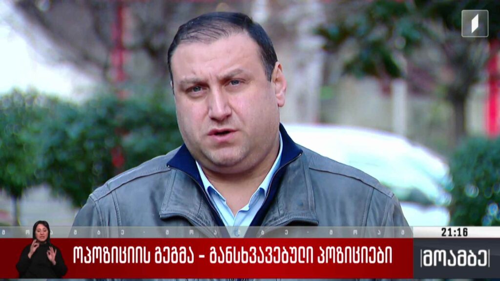 ოპოზიციის გეგმა – განსხვავებული პოზიციები