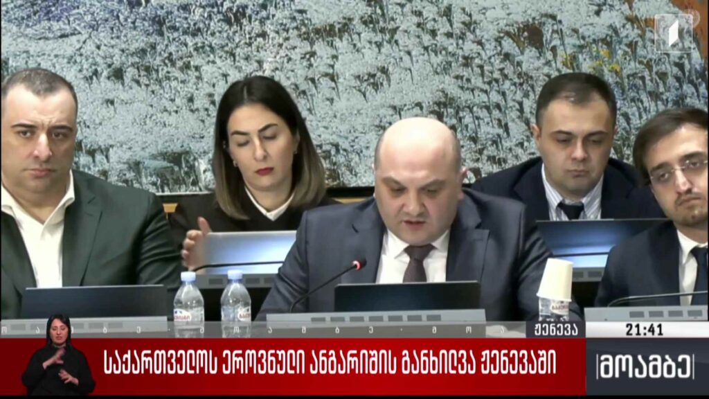 საქართველოს ეროვნული ანგარიშის განხილვა ჟენევაში