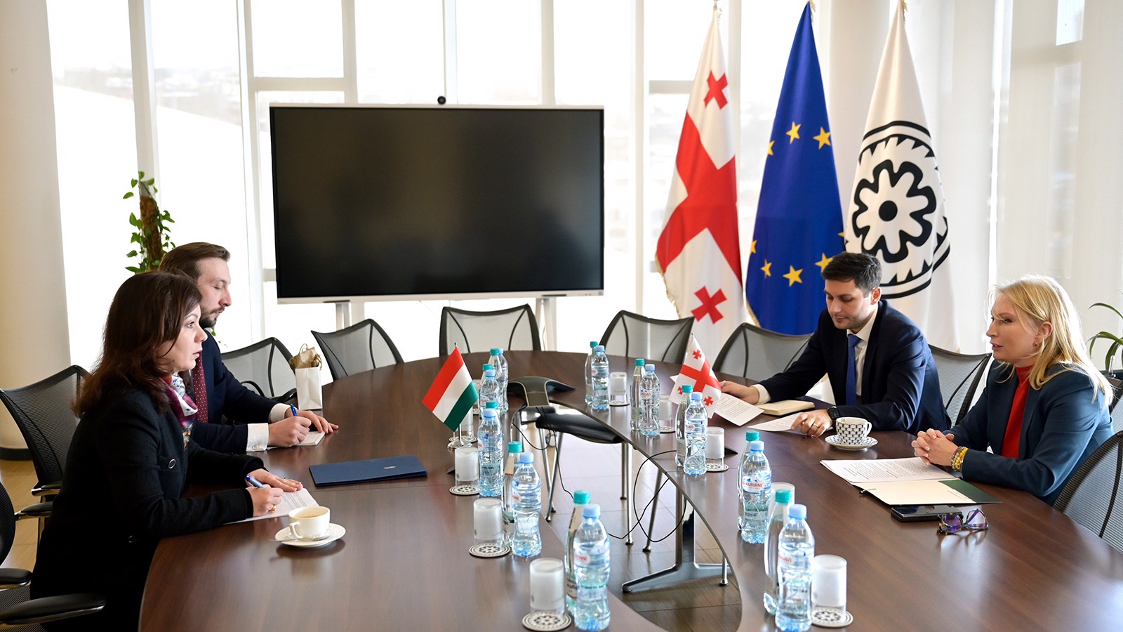 ნათია თურნავა უნგრეთის ახალ ელჩს შეხვდა