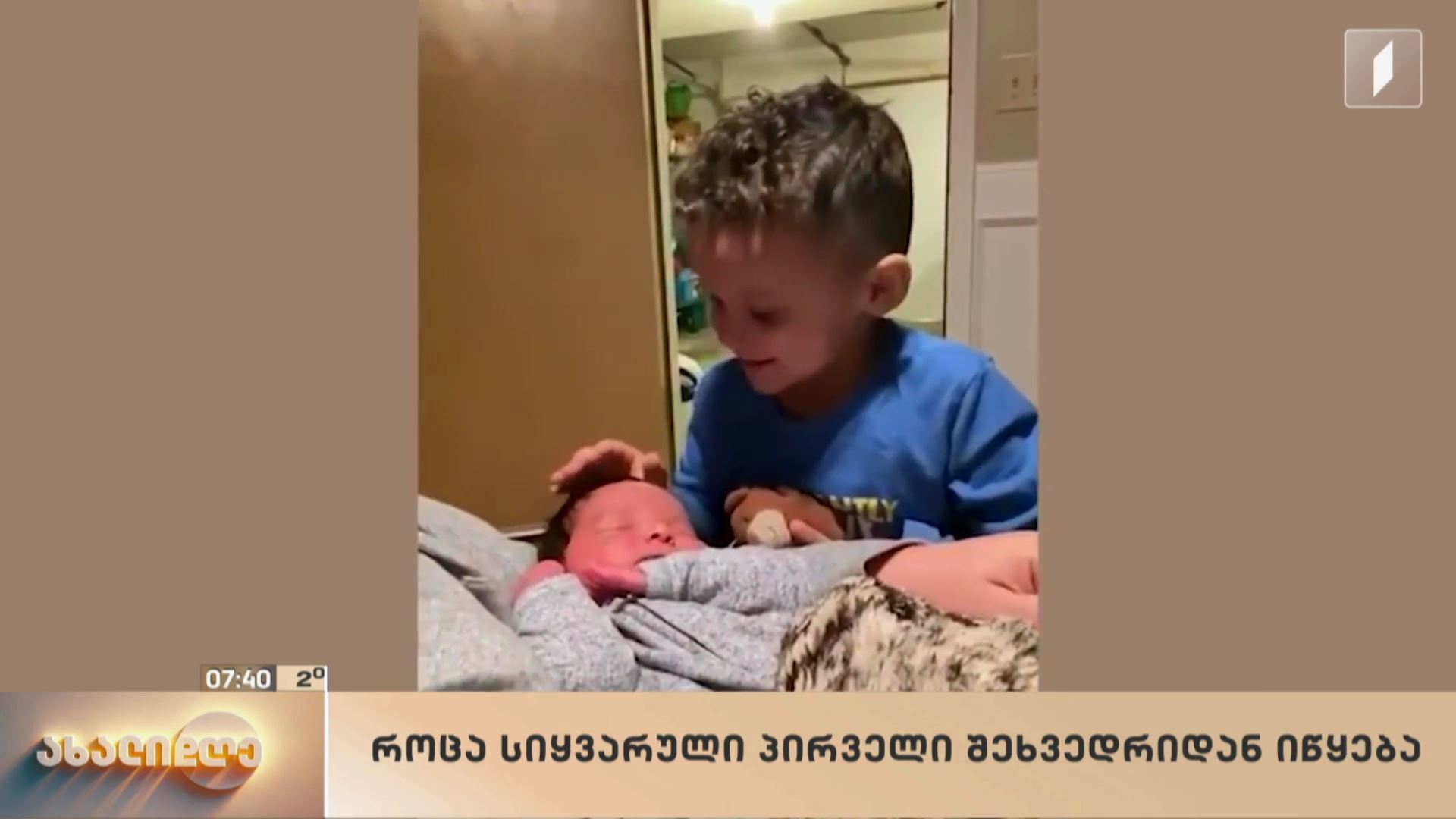 სახალისო ვიდეოები