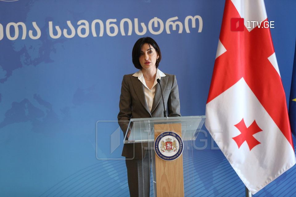 მაკა ბოჭორიშვილი - საქართველო აშშ-თან ურთიერთობების გადახედვას ელოდება