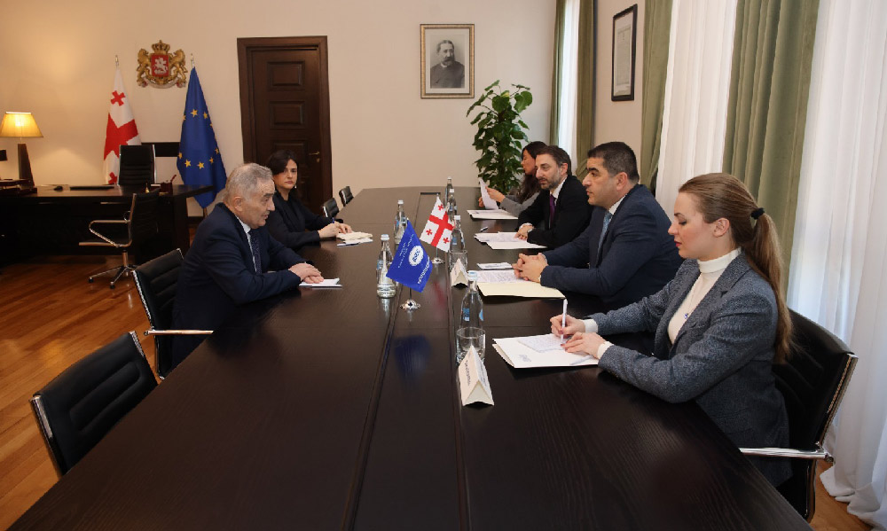 შალვა პაპუაშვილი შავი ზღვის ეკონომიკური თანამშრომლობის ორგანიზაციის გენერალურ მდივანს, ლაზარ კომანესკუს შეხვდა