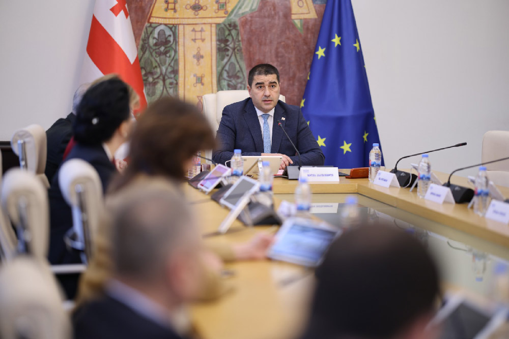 პარლამენტში „გრანტების შესახებ“ კანონში ცვლილებების განხილვა იწყება