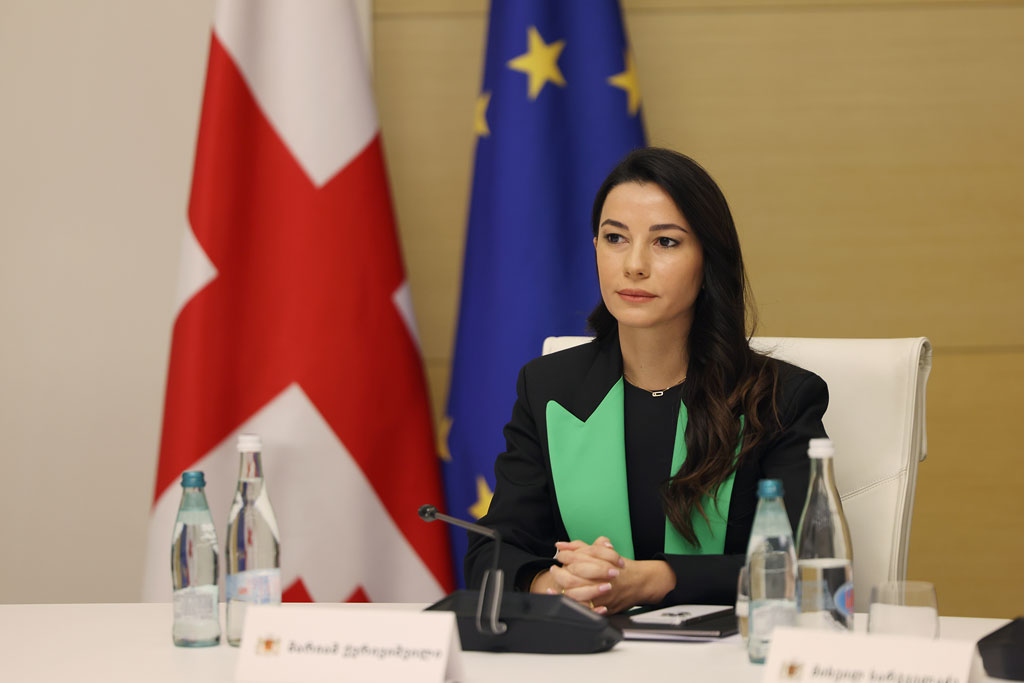 მარიამ ქვრივიშვილი - სახელმწიფოსთვის ძალიან მნიშვნელოვანია, კერძო სექტორთან ერთად განვაგრძოთ მსჯელობა საწვავზე ფასების შემცირების შესაძლებლობისთვის