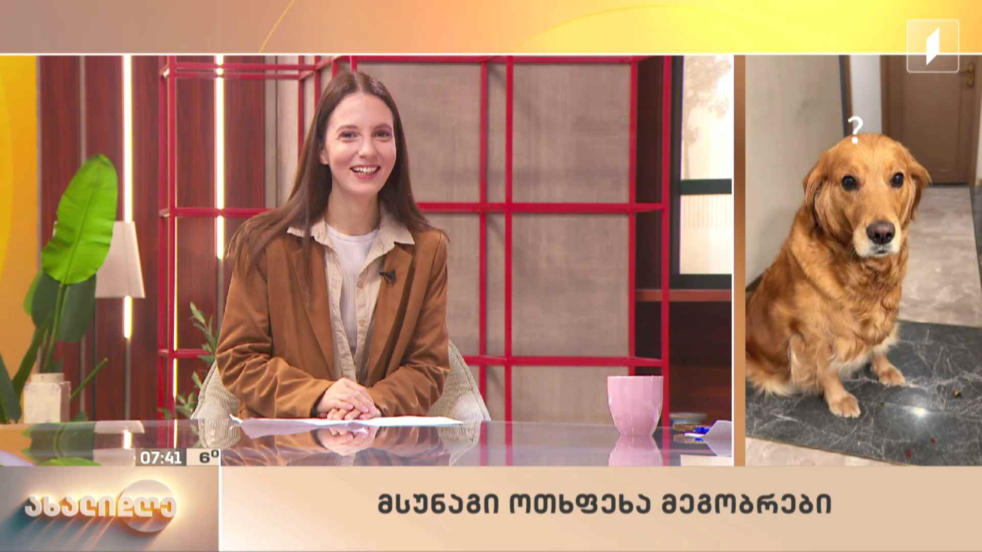 სახალისო ვიდეოები