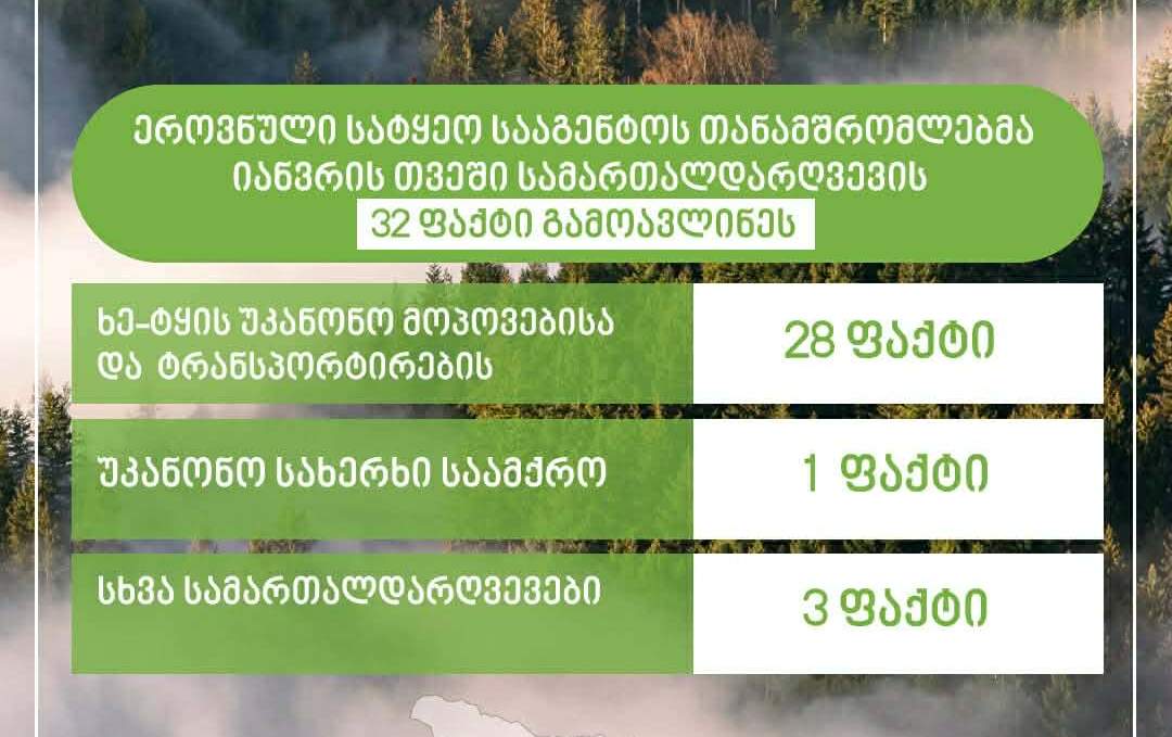 ეროვნული სატყეო სააგენტოს თანამშრომლებმა იანვარში სამართალდარღვევის 32 ფაქტი გამოავლინეს