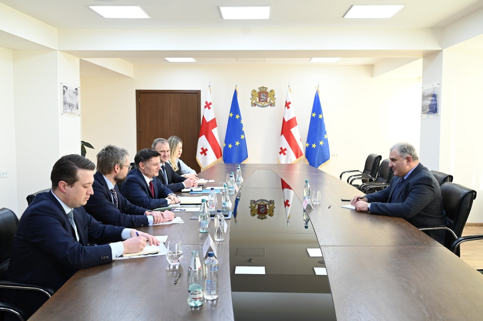 მიხეილ სარჯველაძე საქართველოში გაერო-ს მუდმივ კოორდინატორს შეხვდა