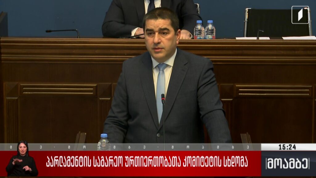 პარლამენტის საგარეო ურთიერთობათა კომიტეტის სხდომა