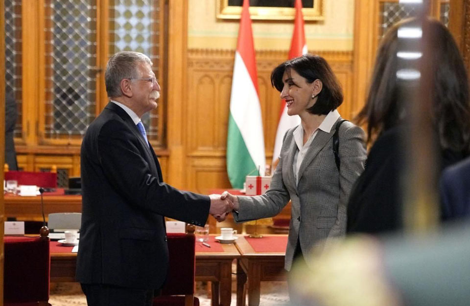 მაკა ბოჭორიშვილმა უნგრეთის ეროვნული ასამბლეის სპიკერთან შეხვედრა გამართა