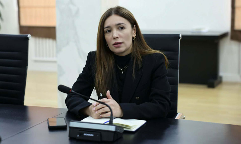 ნინო თანდილაშვილი - მოქალაქეები, რომლებმაც M1 კატეგორიის ავტომობილი უკვე შეიძინეს და პირველ აპრილამდე დაიწყებენ მის ტრანსპორტირებას, რეგისტრაციას ჩვეულებრივად შეძლებენ