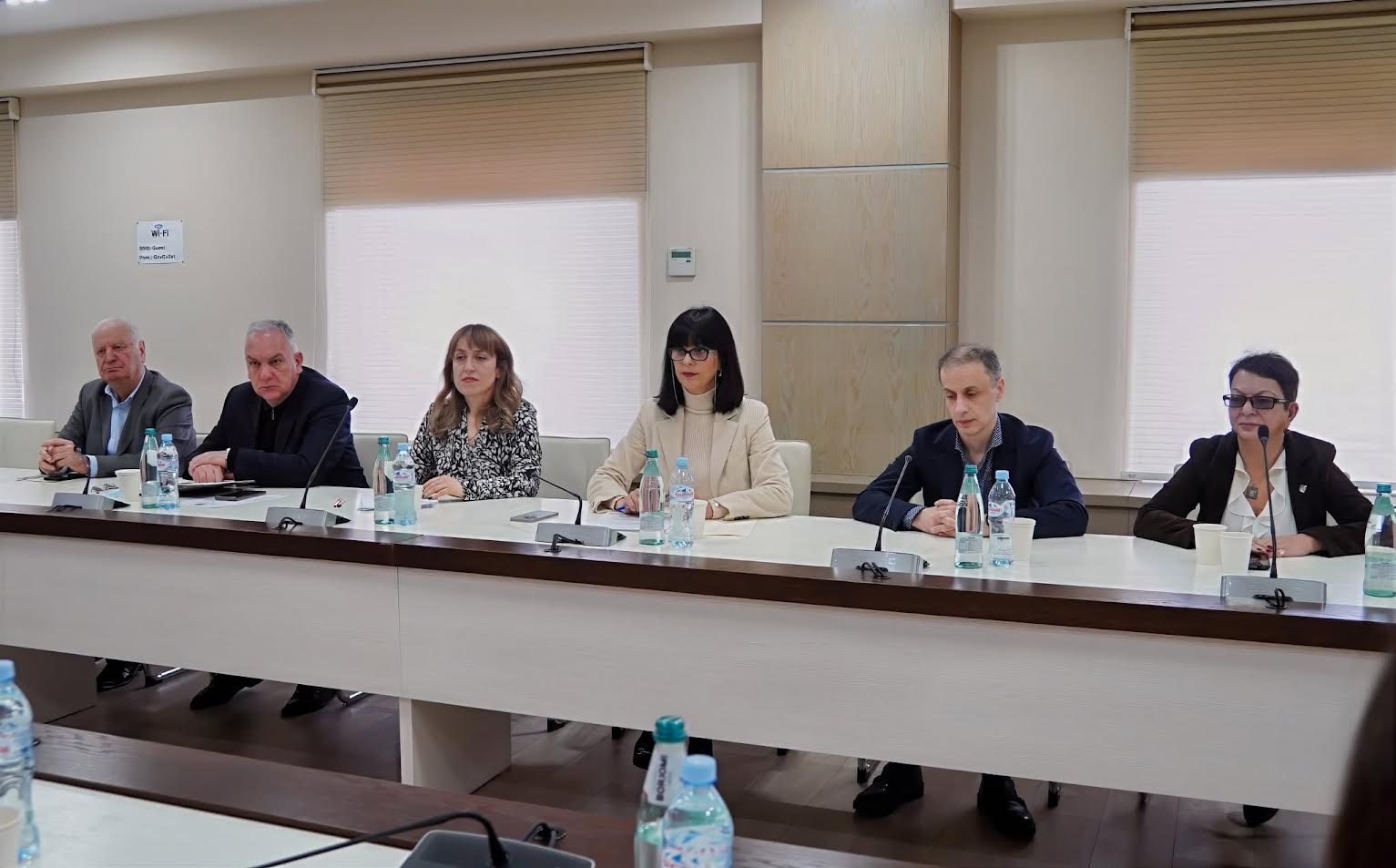 თეა ახვლედიანისა და წითელი ჯვრის საერთაშორისო კომიტეტის დესპანის, ანიეს ქოთუს ხელმძღვანელობით გაფართოებული ფორმატის სამუშაო შეხვედრა გაიმართა