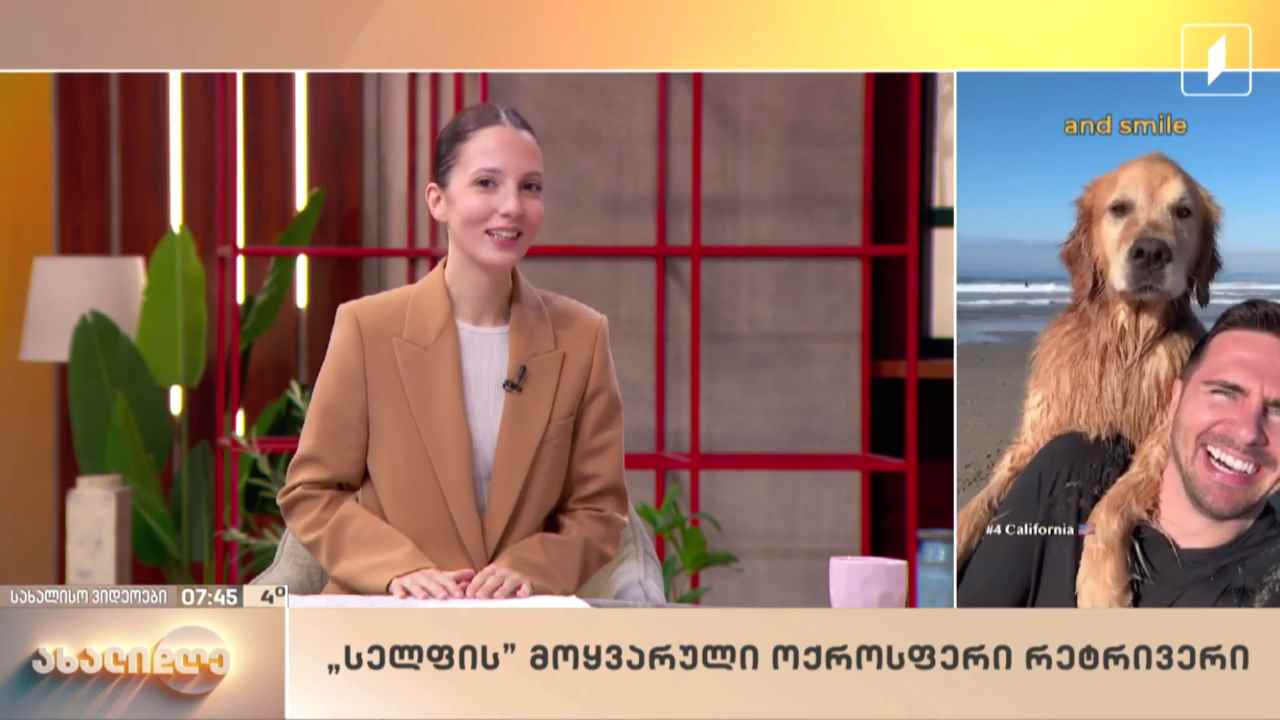 სახალისო ვიდეოები