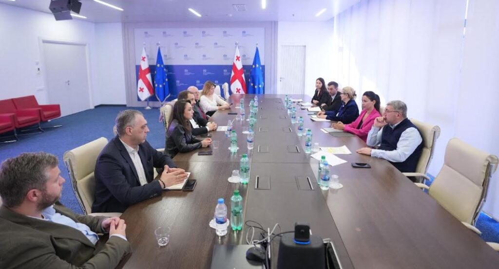 მარიამ ქვრივიშვილმა GREDA-ს წარმომადგენლებთან ელექტროსადგურების მიერ გადახდილი ქონების გადასახადის განაწილებასთან დაკავშირებული კანონპროექტი განიხილა