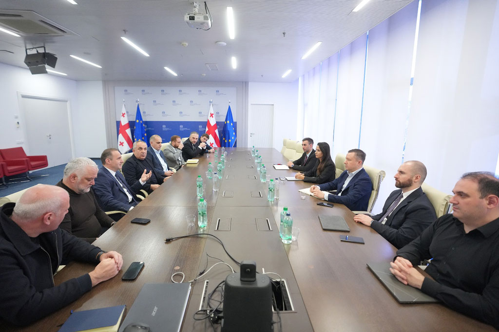 მარიამ ქვრივიშვილმა ენერგეტიკულ კომპანიებთან დარგის განვითარების პერსპექტივები განიხილა