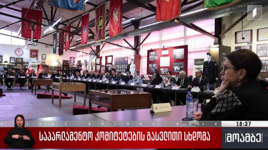 საპარლამენტო კომიტეტების გასვლითი სხდომა