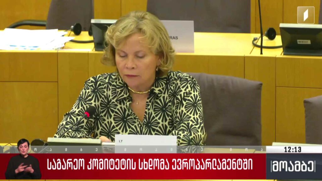 საგარეო კომიტეტის სხდომა ევროპარლამენტში – გამოხმაურება თბილისში