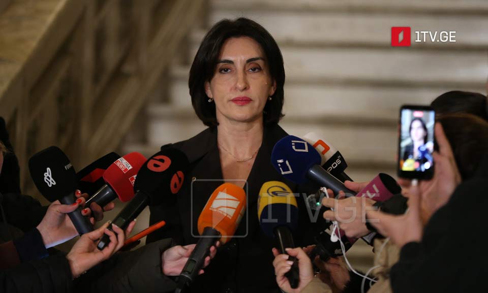 მაკა ბოჭორიშვილი - სამხრეთ კავკასია არის რეგიონი, რომელიც სასიცოცხლოდ სჭირდება ევროკავშირს საკუთარი უსაფრთხოებისა და კეთილდღეობისთვის