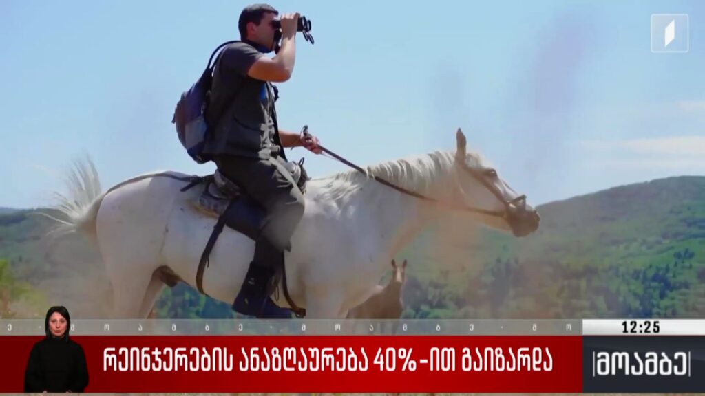 რეინჯერების ანაზღაურება 40%-ით გაიზარდა